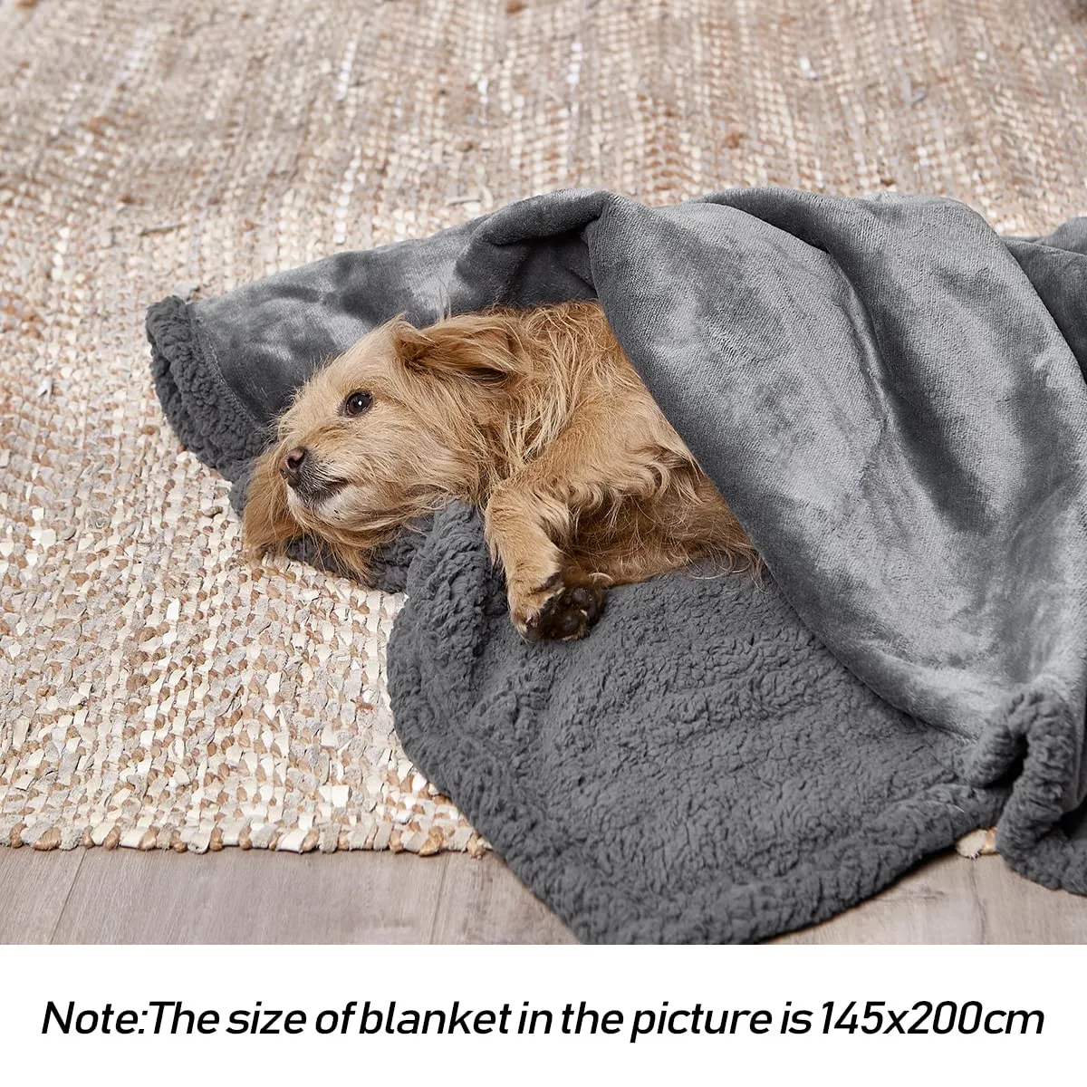 100% Leak Proof Pet Blanket Waterproof Dog Blanket Pee Proof Soft Dog Cat Bed Furniture Cover For Large Dogs and Cats Sofa Couch and Bed Dark Grey M 70 X 100cm