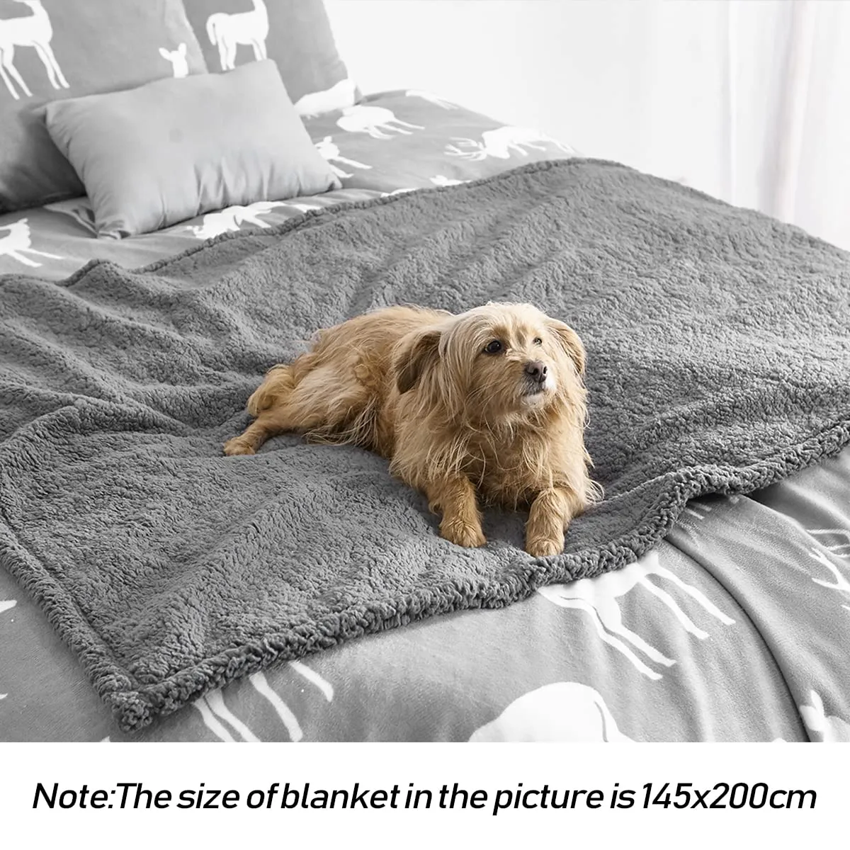100% Leak Proof Pet Blanket Waterproof Dog Blanket Pee Proof Soft Dog Cat Bed Furniture Cover For Large Dogs and Cats Sofa Couch and Bed Dark Grey M 70 X 100cm
