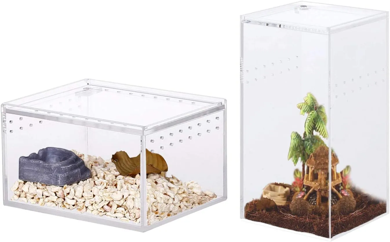 2 Pack Acrylic Reptile Terrarium Enclosure Tank Snail Spider Habitat Cage Mini Critter Keeper Transparent Reptile Isopods Lizards Roach Invertebrates Insect Feeding Box