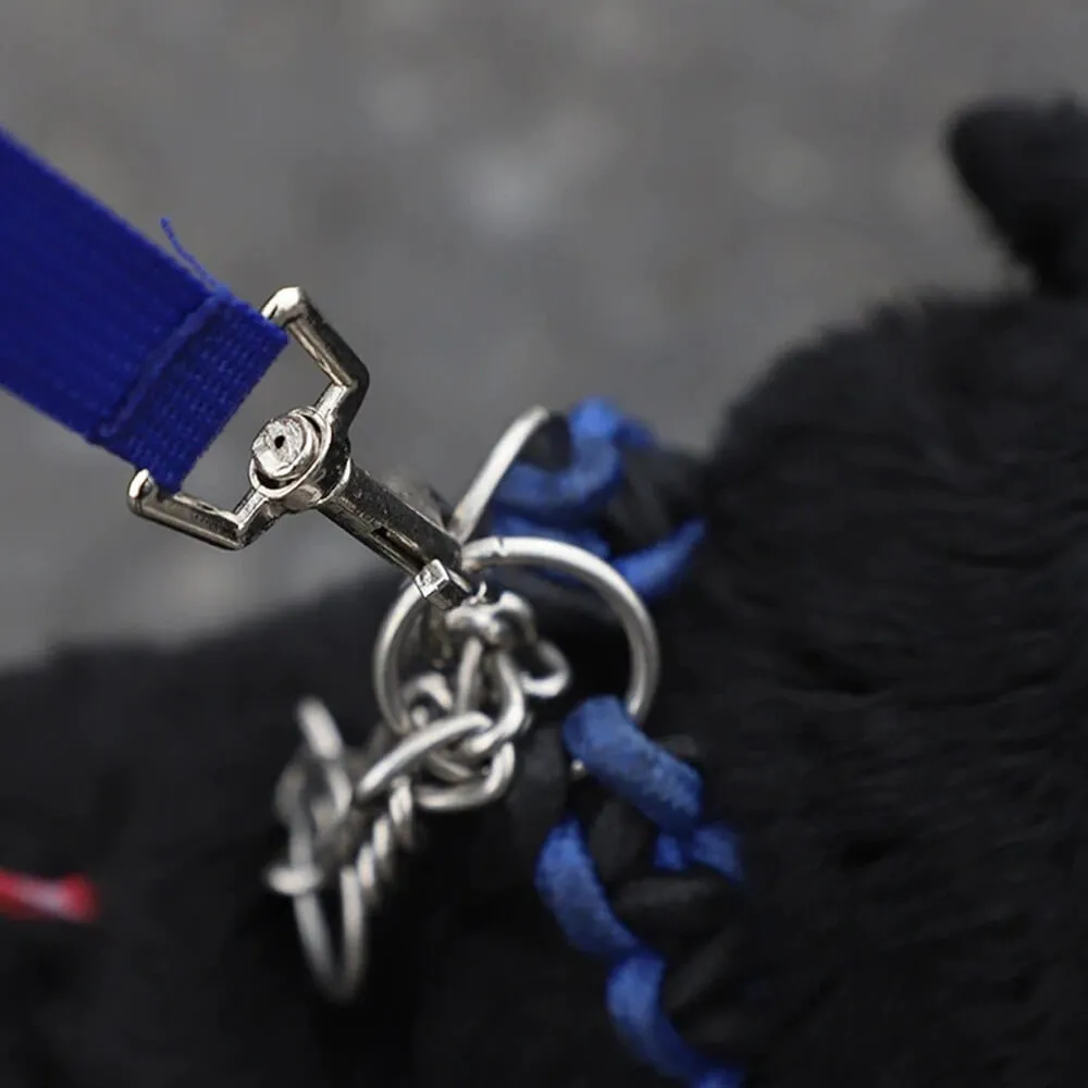 4-in-1 Dog Retractable Leash Belt