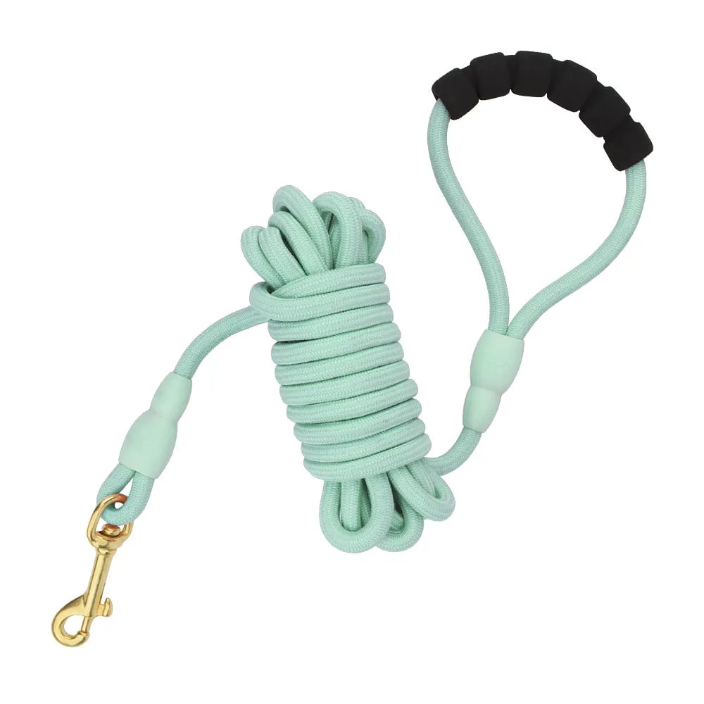 5M/10M Dog Leash for Training