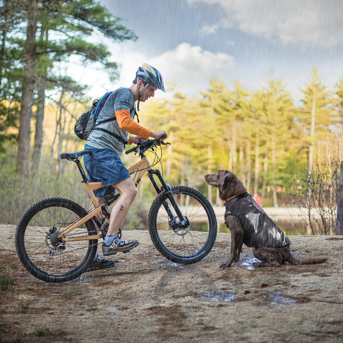 Allagash Dog Jacket