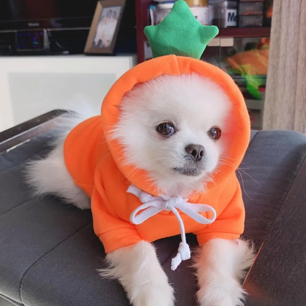 ANIAC Funny Pet Clothes for Small Dog Cat Carrot Dog Hoodies Warm Puppy Sweatshirt Coat with Fruit Hood Fall Cat Sweater Halloween Outfit Easter Dog Carrot Costume (Orange, X-Small)