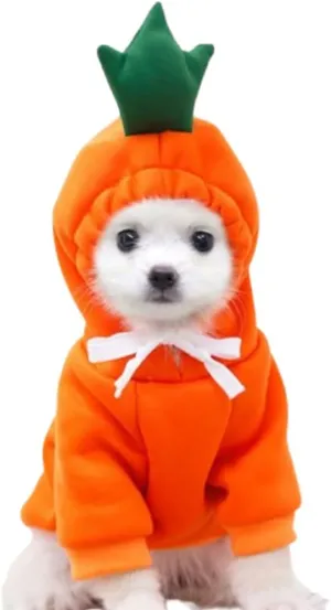 ANIAC Funny Pet Clothes for Small Dog Cat Carrot Dog Hoodies Warm Puppy Sweatshirt Coat with Fruit Hood Fall Cat Sweater Halloween Outfit Easter Dog Carrot Costume (Orange, X-Small)