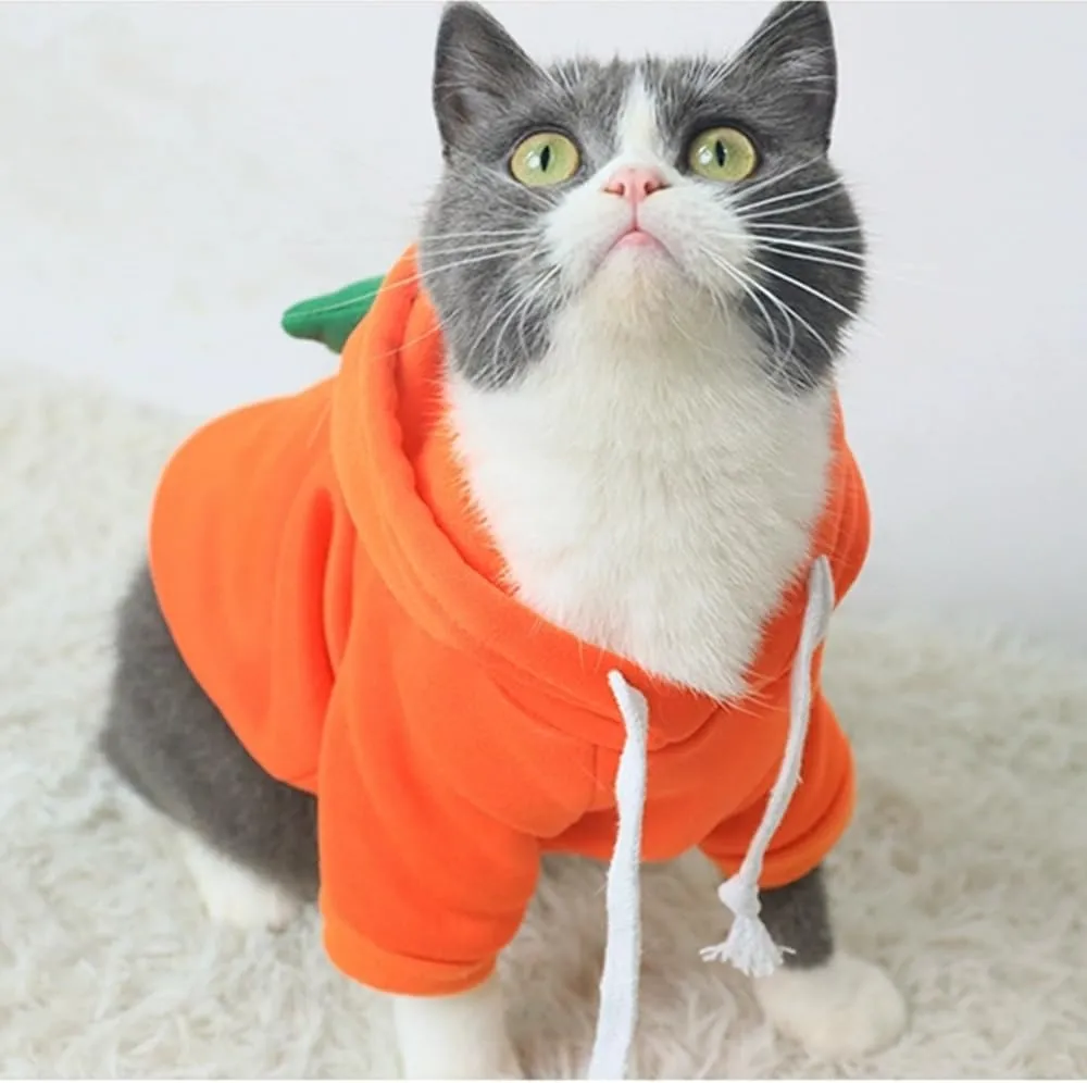 ANIAC Funny Pet Clothes for Small Dog Cat Carrot Dog Hoodies Warm Puppy Sweatshirt Coat with Fruit Hood Fall Cat Sweater Halloween Outfit Easter Dog Carrot Costume (Orange, X-Small)