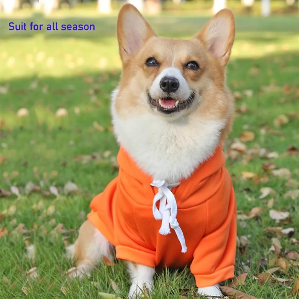 ANIAC Funny Pet Clothes for Small Dog Cat Carrot Dog Hoodies Warm Puppy Sweatshirt Coat with Fruit Hood Fall Cat Sweater Halloween Outfit Easter Dog Carrot Costume (Orange, X-Small)