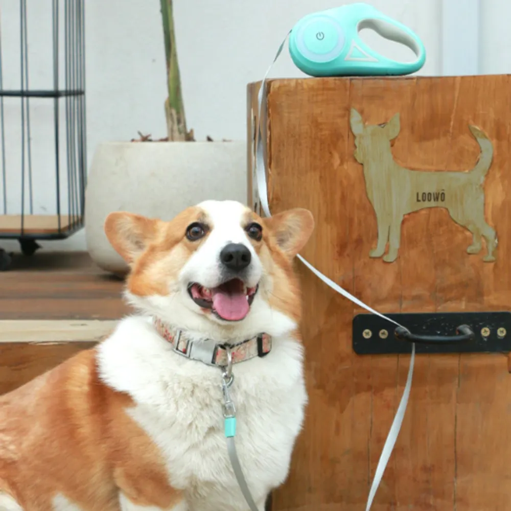 Automatic Retractable Lighting Dog Leash | PetPals®