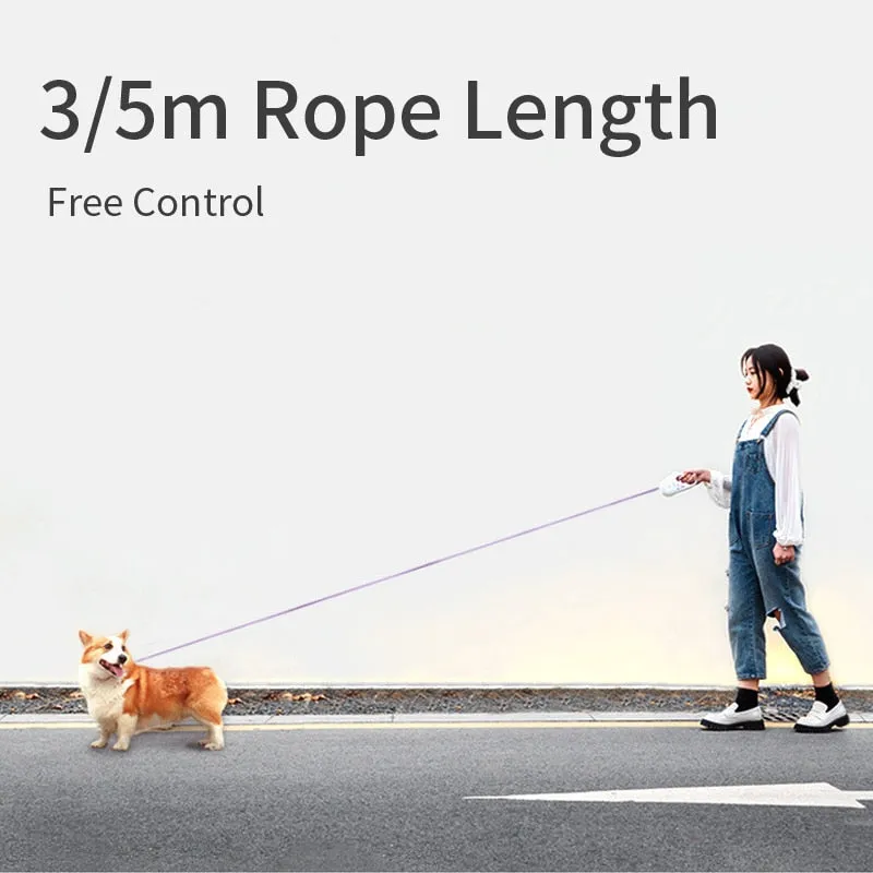 Automatic Retractable Lighting Dog Leash | PetPals®