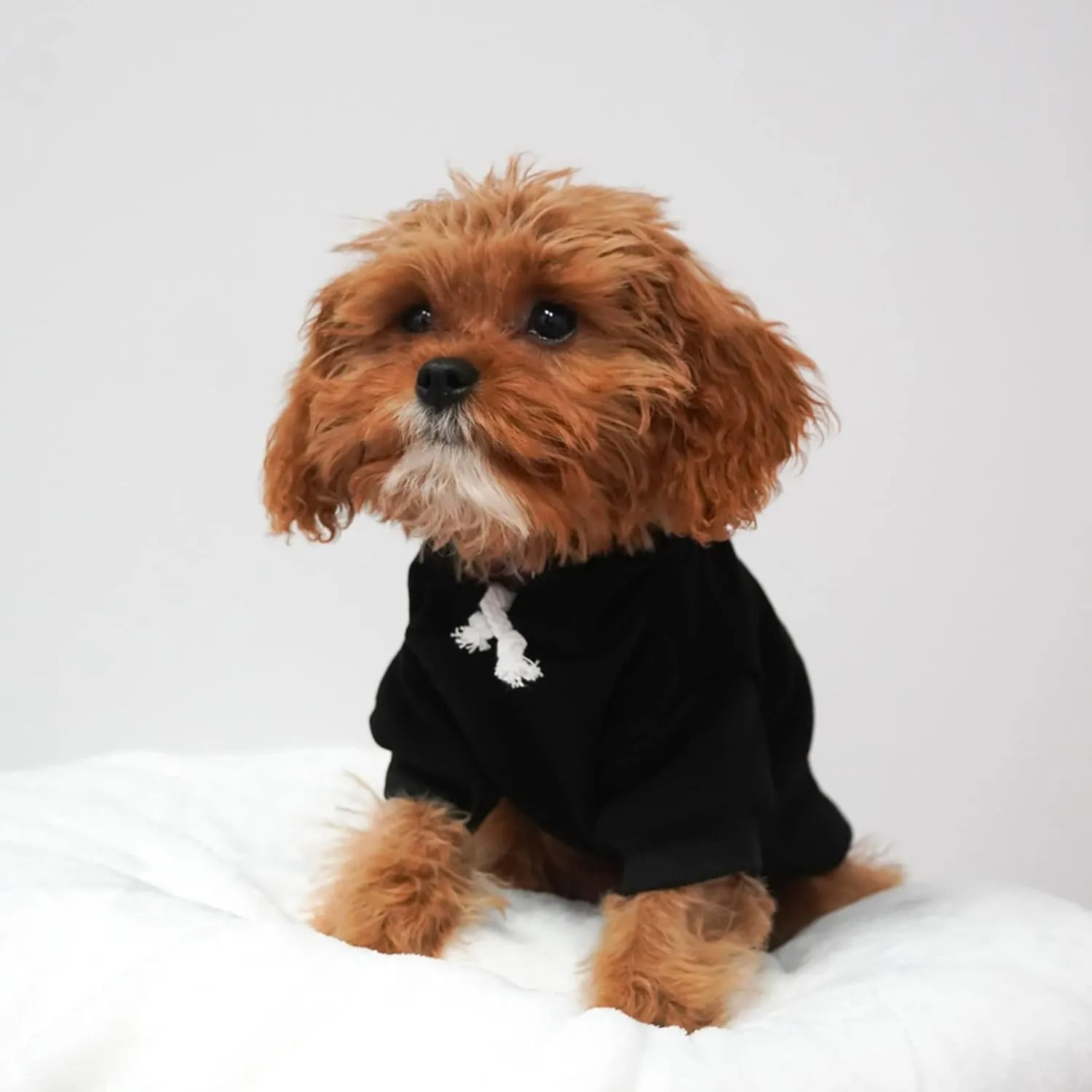 Big Brother (B&W) Dog Hoodie Fleece Lined Pullover Sweatshirt with Leash Hole (Grey, X-Large 894)