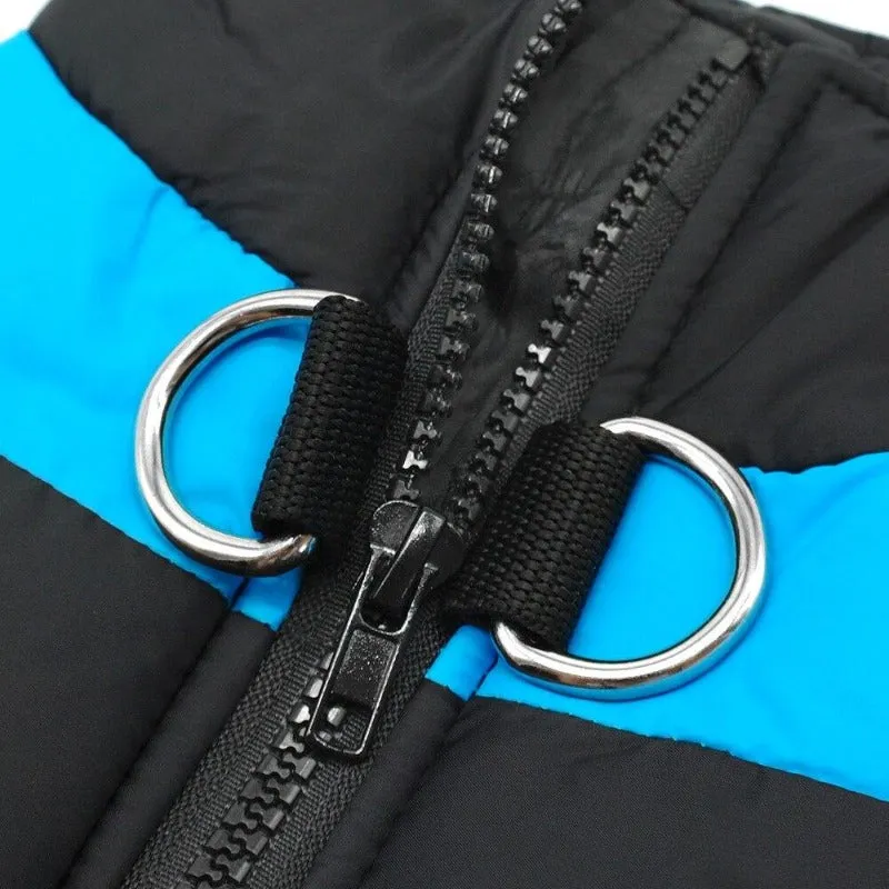 Big Buddy Waterproof Winter Dog Vest