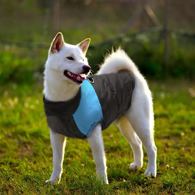 Big Buddy Waterproof Winter Dog Vest