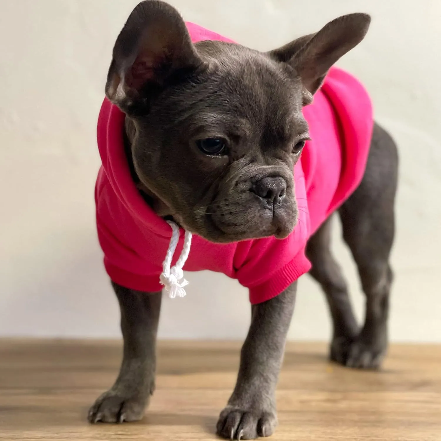 Big Sister Heart Paw Baby Announcement Dog Hoodie Fleece Lined Pullover Sweatshirt with Leash Hole (Green, 4X-Large 86)