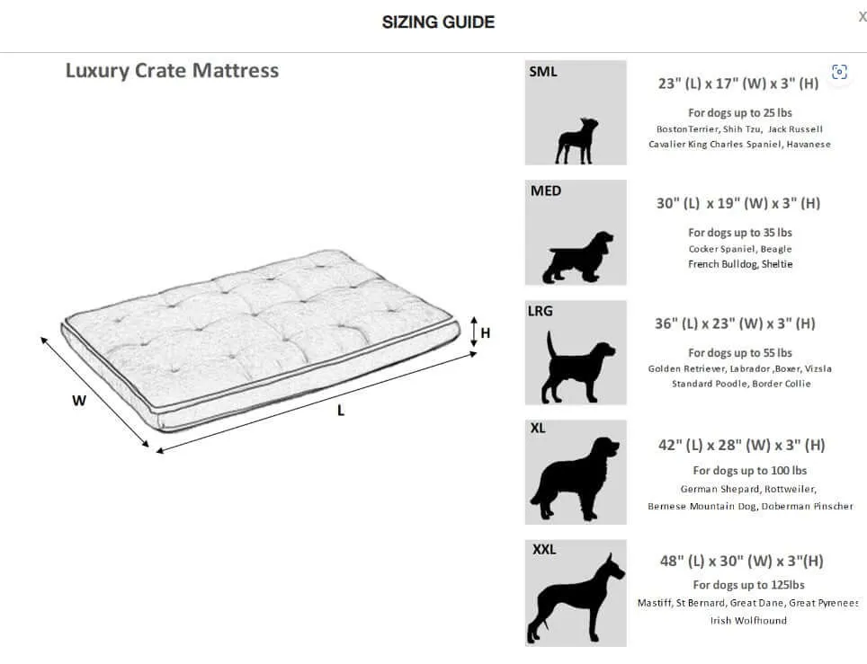Bowsers Oslo Ortho Dog Bed - Galaxy