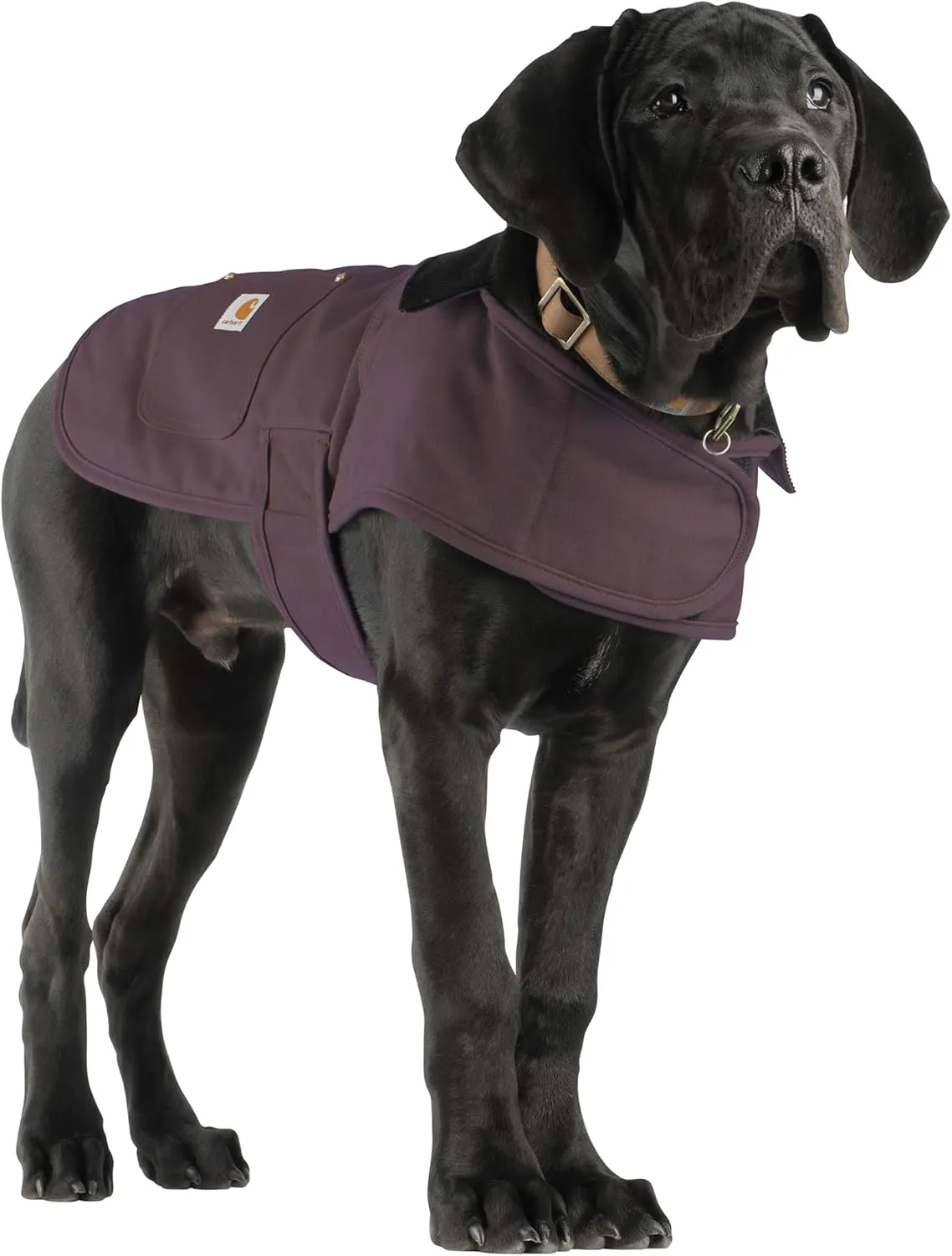 Carhartt Firm Duck Insulated Dog Chore Coat, Durable Weather Resistant Jacket for Cold and Windy Conditions, Contains PFAS (Deep Wine), Medium