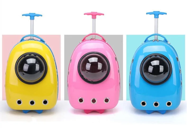 Color Pet Portable Travel Carrier