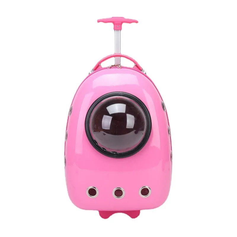 Color Pet Portable Travel Carrier