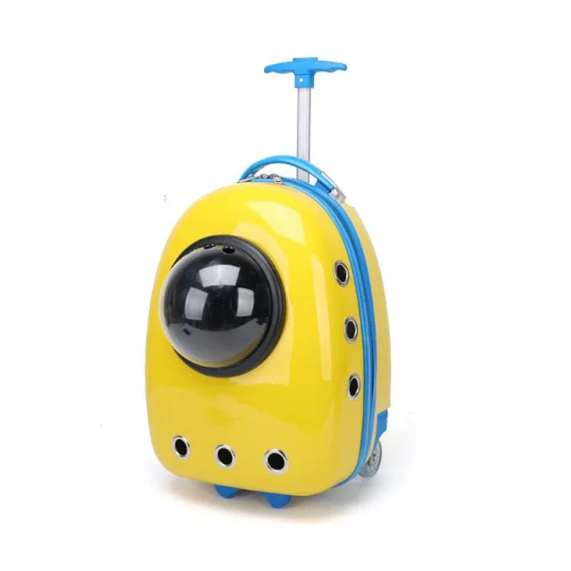 Color Pet Portable Travel Carrier