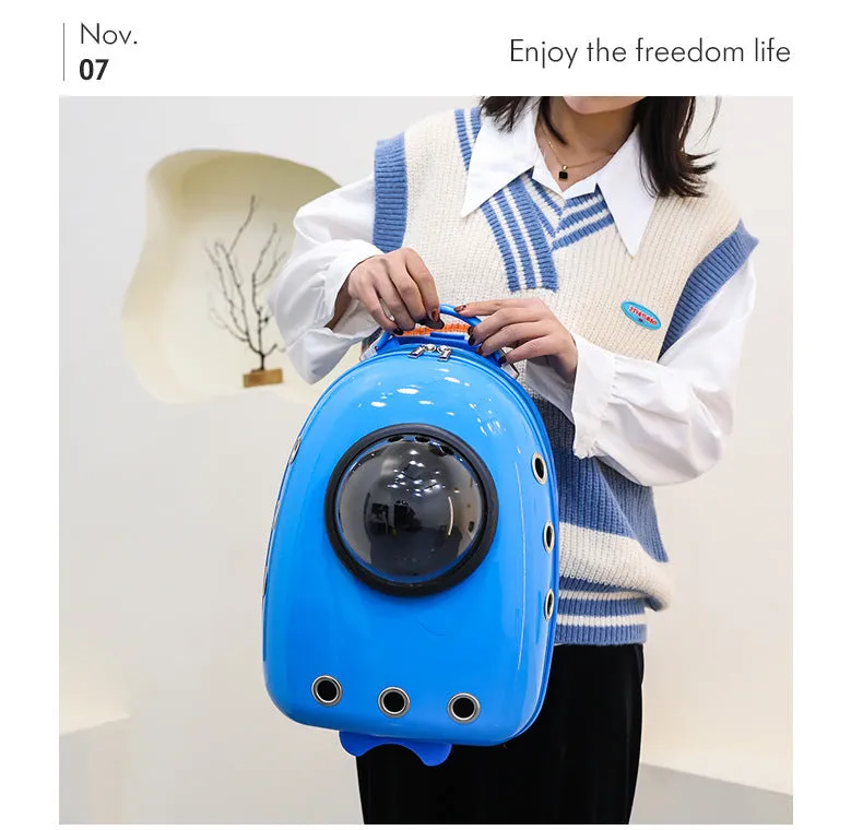 Color Pet Portable Travel Carrier