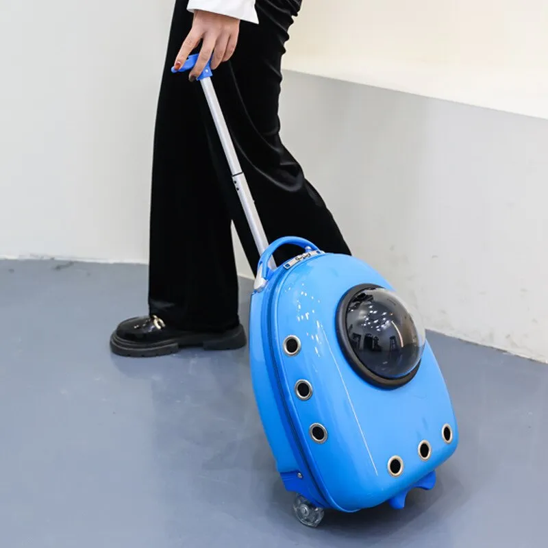 Color Pet Portable Travel Carrier