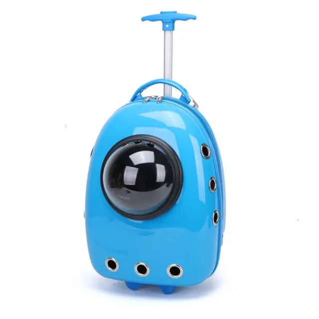 Color Pet Portable Travel Carrier