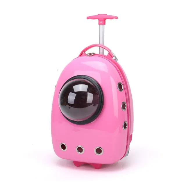 Color Pet Portable Travel Carrier