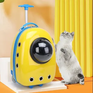 Color Pet Portable Travel Carrier