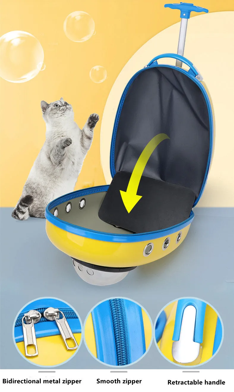 Color Pet Portable Travel Carrier