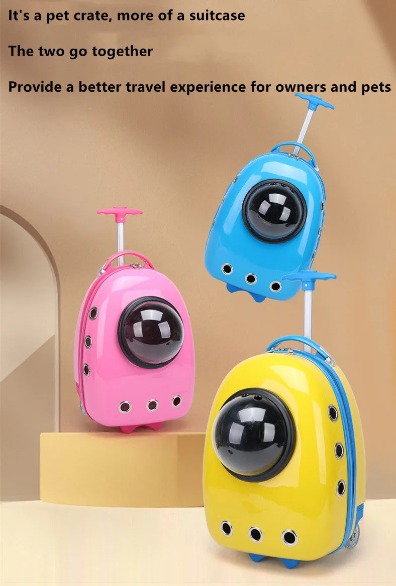 Color Pet Portable Travel Carrier