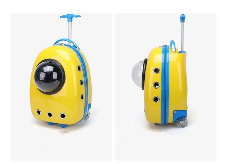 Color Pet Portable Travel Carrier