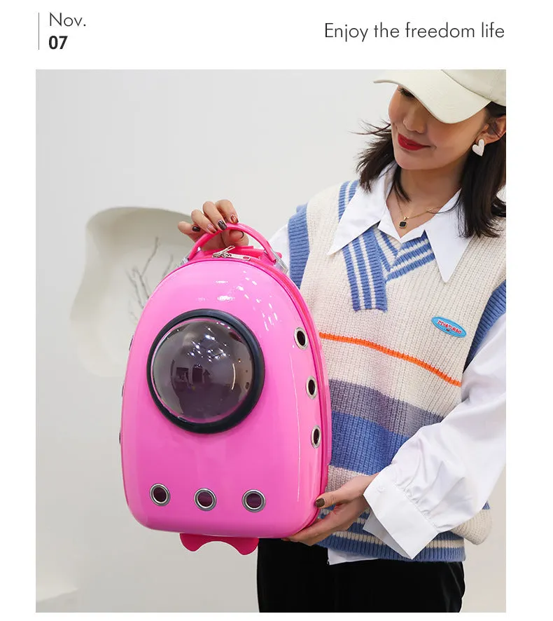 Color Pet Portable Travel Carrier