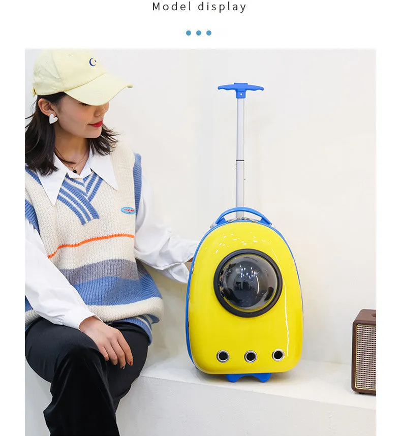 Color Pet Portable Travel Carrier