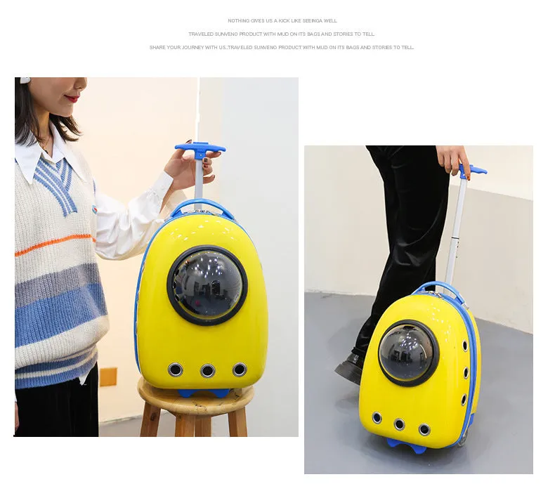 Color Pet Portable Travel Carrier