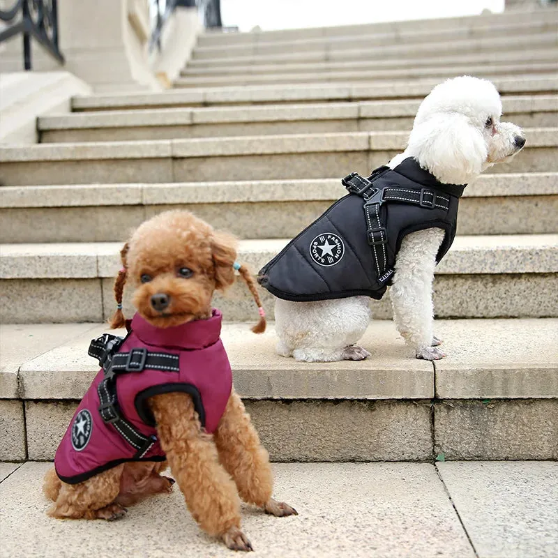 CozyDogs | WARM JACKET FOR YOUR LOVED DOG
