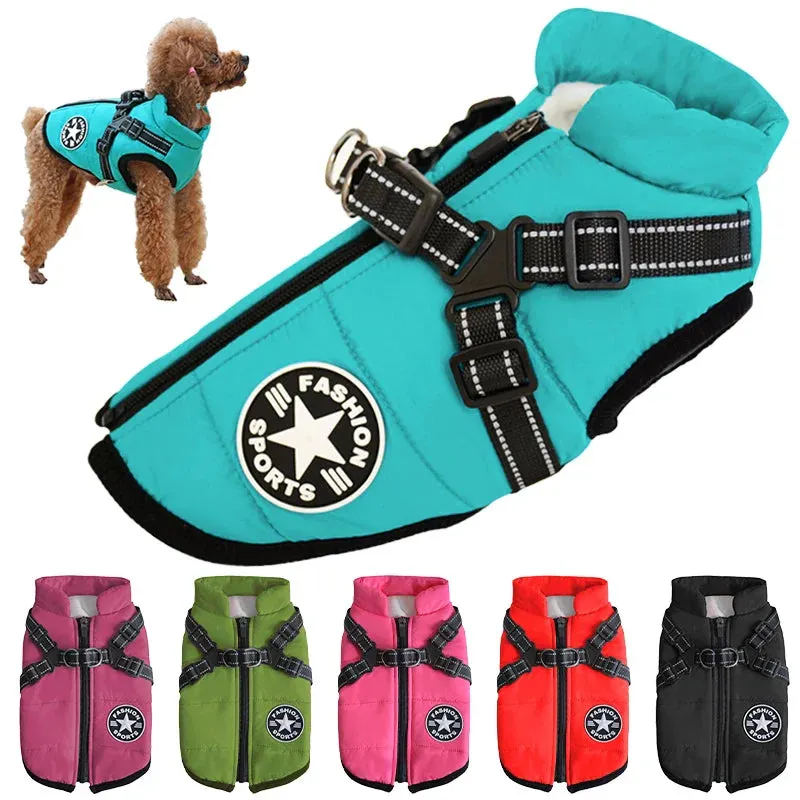 CozyDogs | WARM JACKET FOR YOUR LOVED DOG