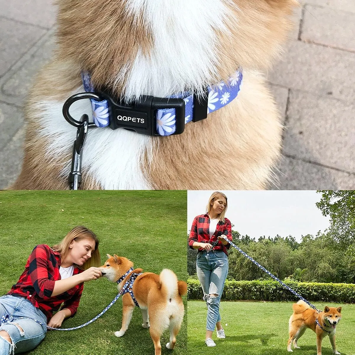 Dog Harness Collar Leash Set - No Pull Pet Adjustable Back Clip Halter Basic Collar Heavy Duty 5FT Anti-Twist Leash for Extra Small Puppy Medium Large Breed Training Running (Daisy, XS)