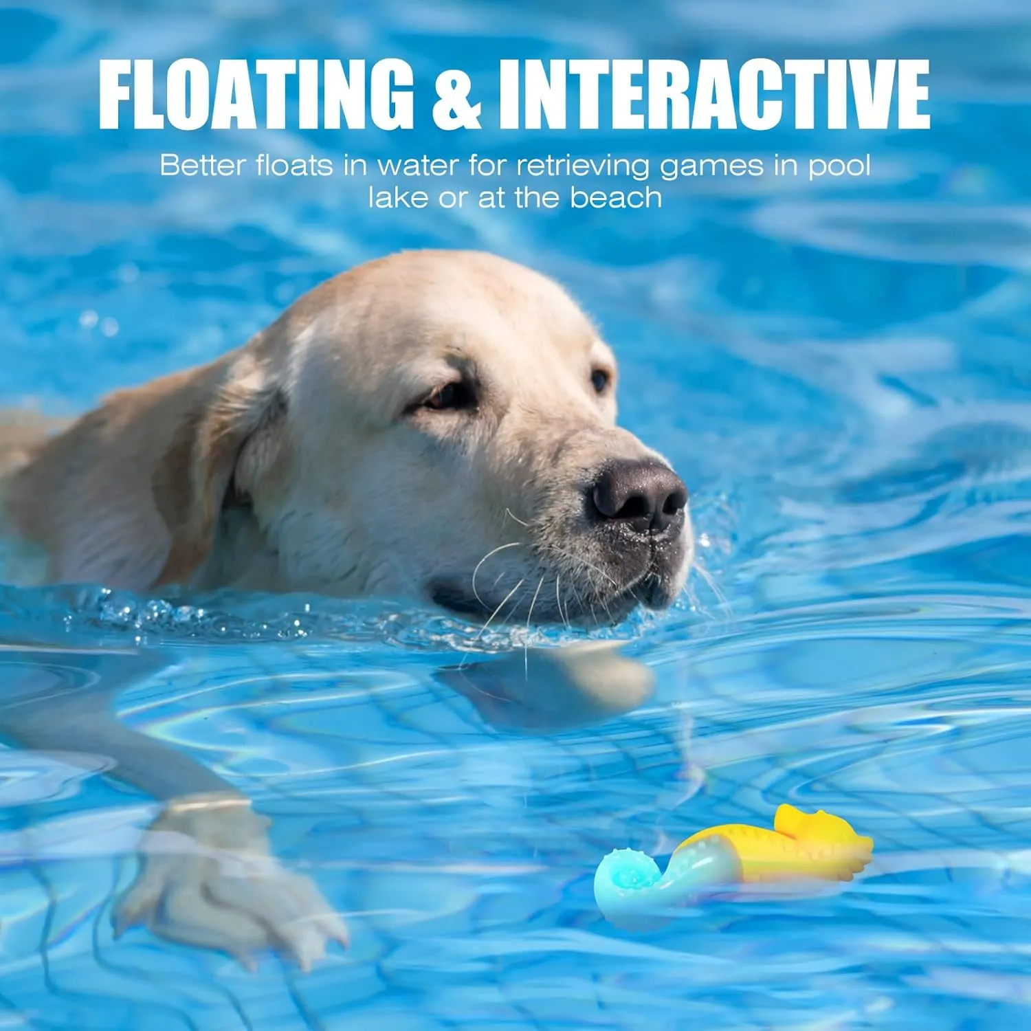 Dog Toy Floating Luminous, Squeaky Dog Toy, Glow in The Dark (Seahorse)