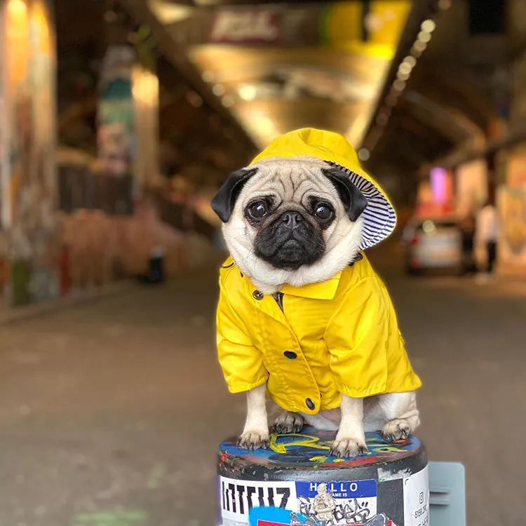 Dog/Puppy Raincoat