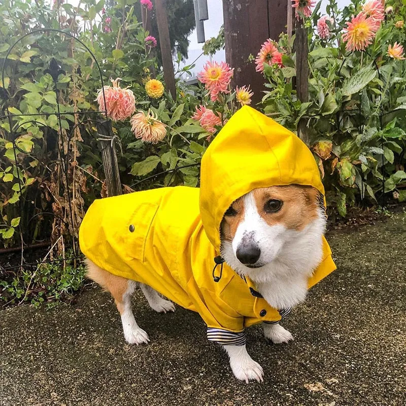 Dog/Puppy Raincoat