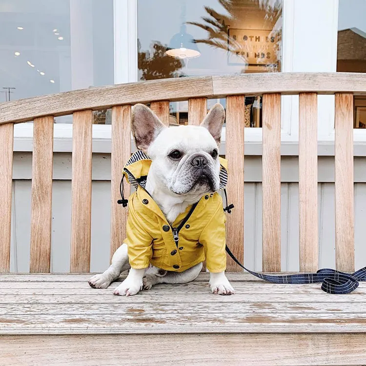 Dog/Puppy Raincoat