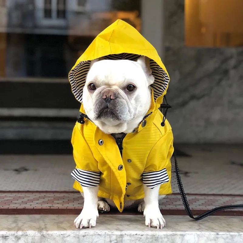 Dog/Puppy Raincoat