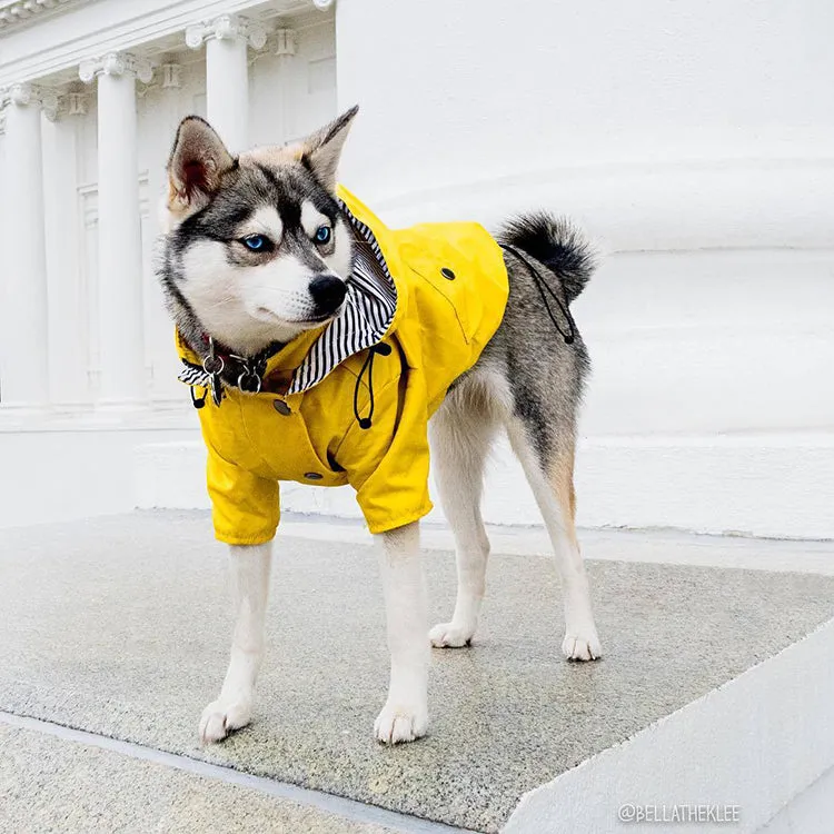 Dog/Puppy Raincoat