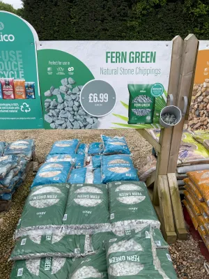 Fern Green