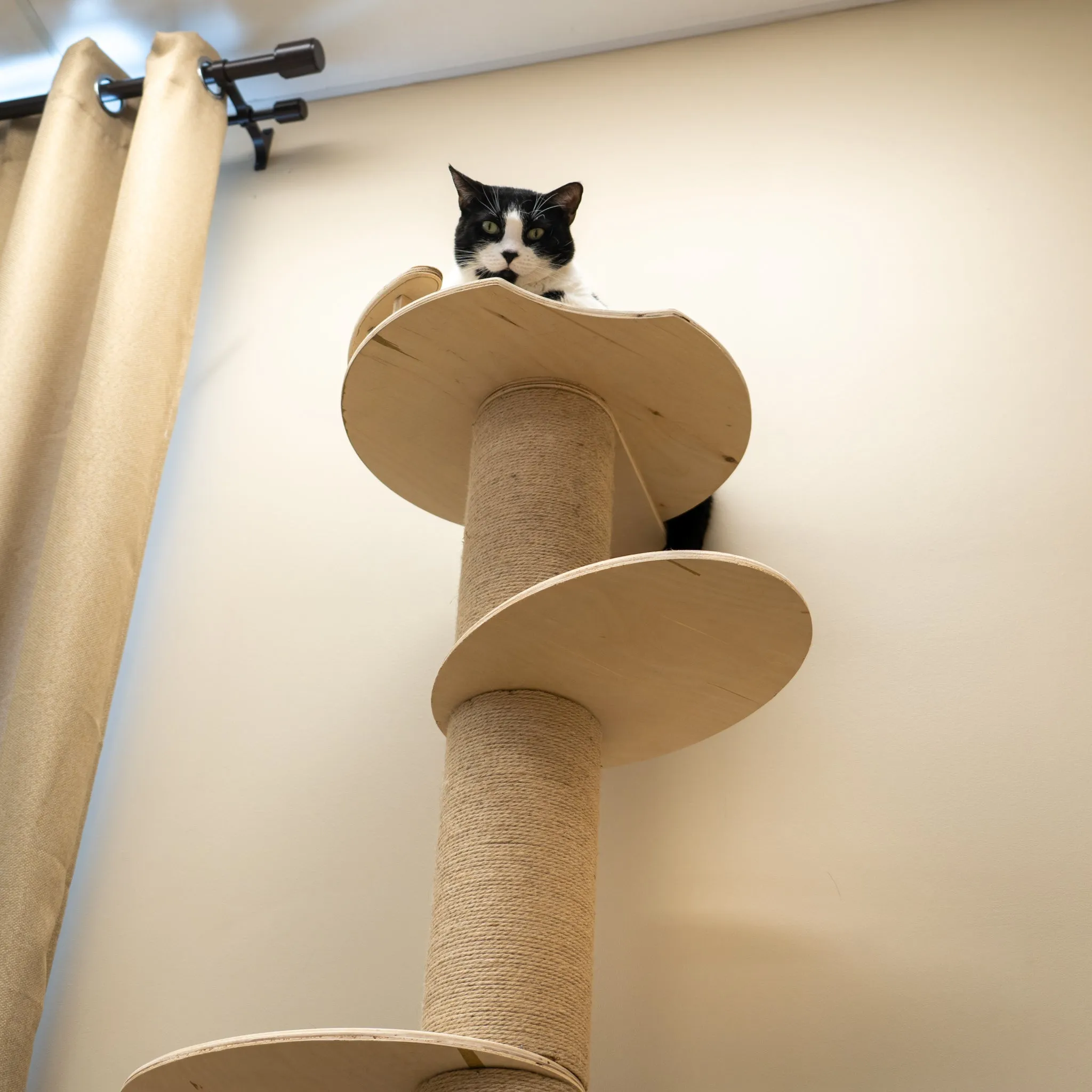 Five-Level Wall Mounted Activity Cat Tree - NEW!!!