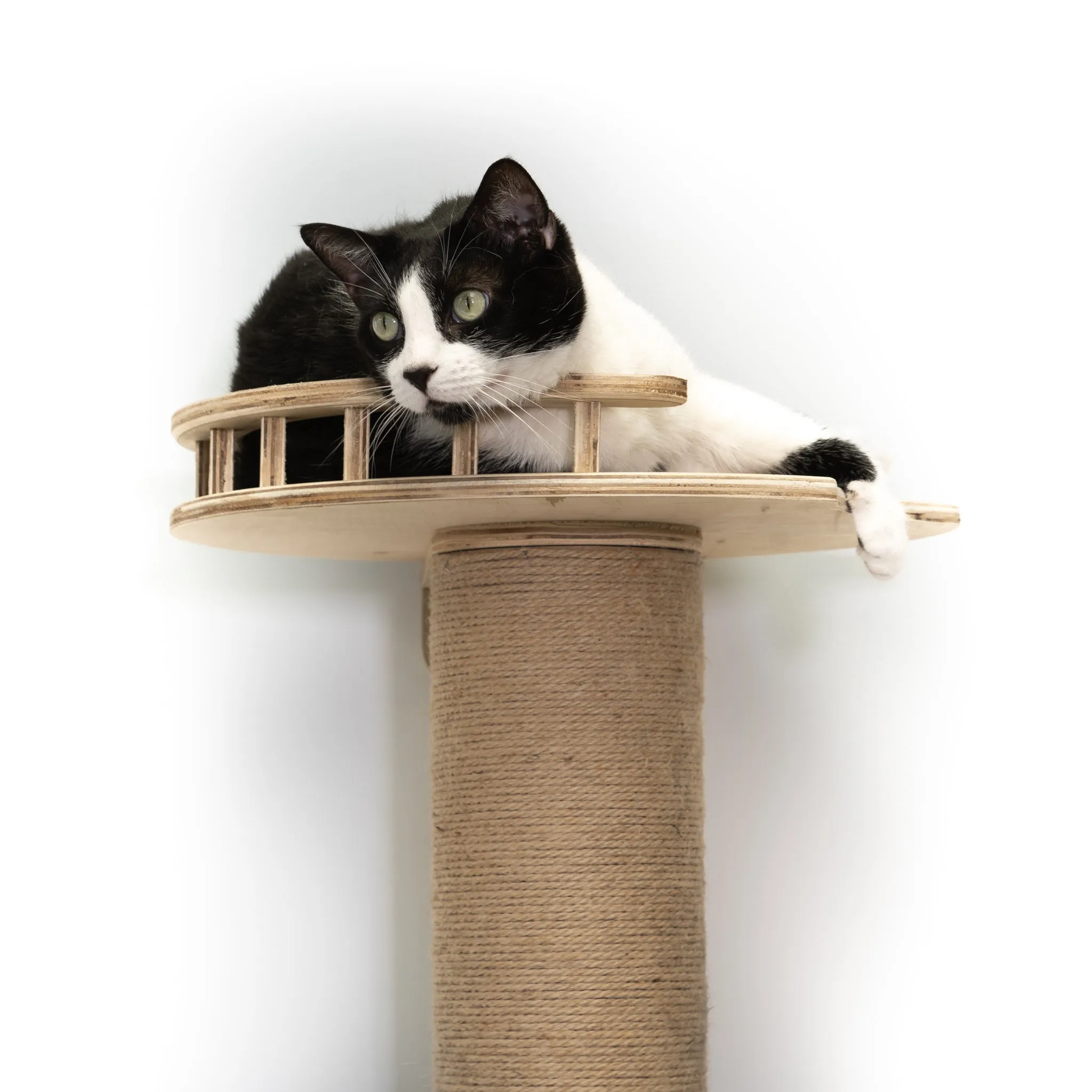 Five-Level Wall Mounted Activity Cat Tree - NEW!!!
