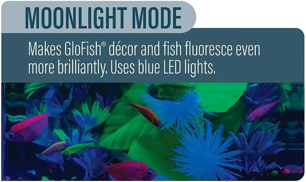 GloFish Color-Changing Cycle LED Light