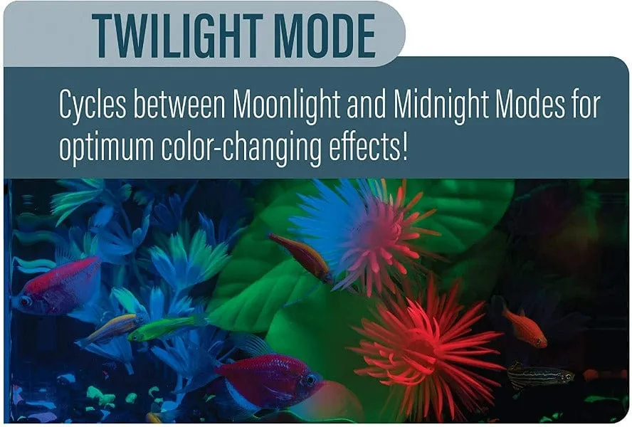 GloFish Color-Changing Cycle LED Light