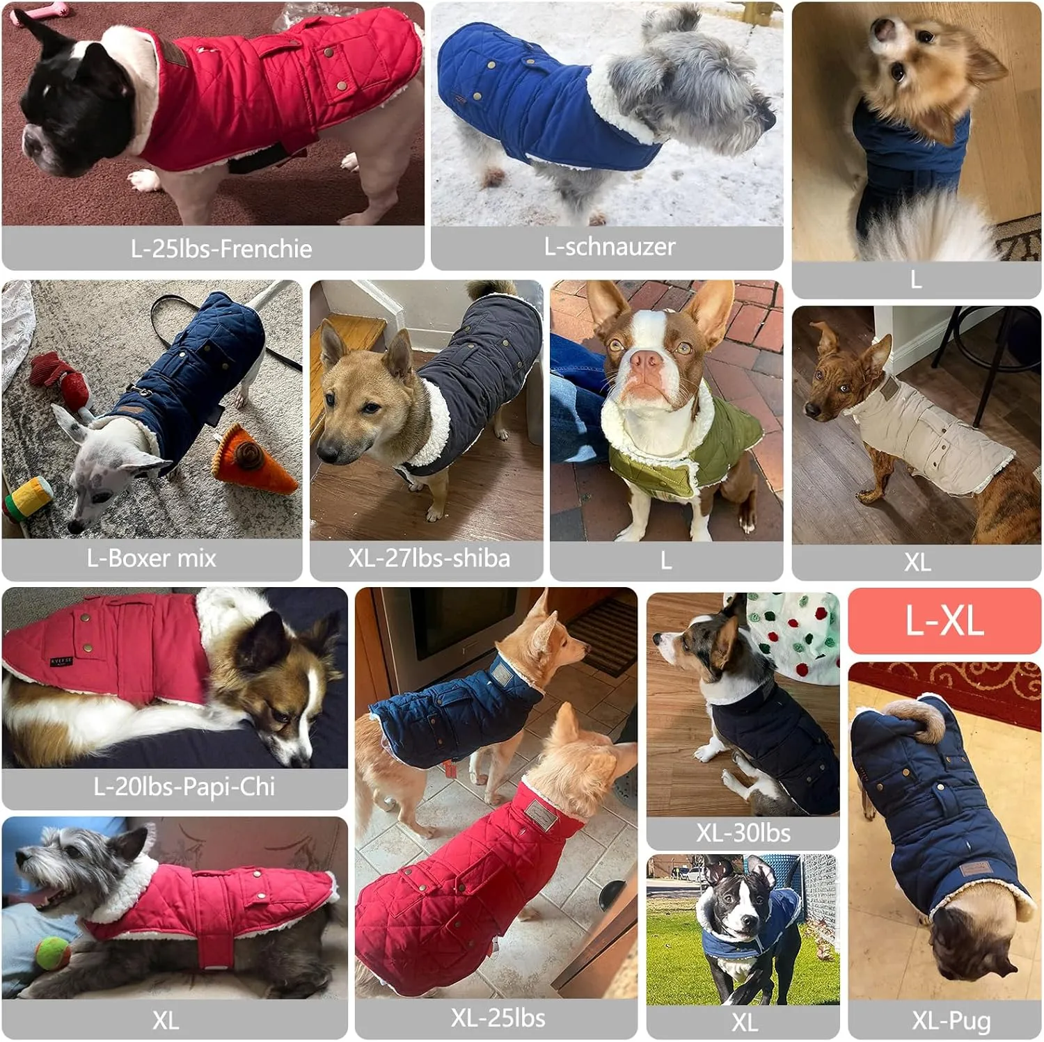 KYEESE Dog Coats Winter Dog Jacket Windproof Padded Sherpa Dogs Vest Cold Weather Coats with Leash Hole for Small Medium Dogs DarkGreen