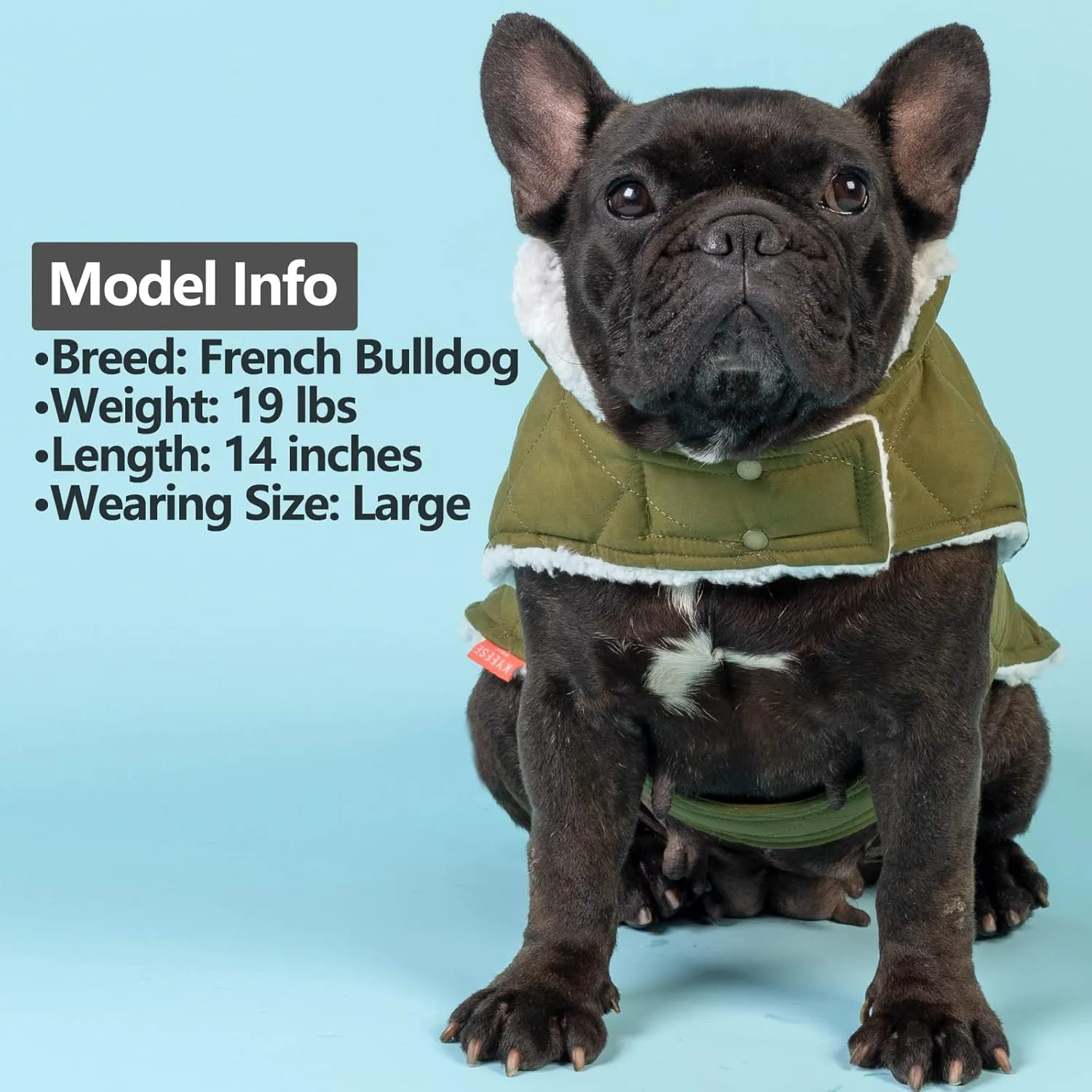 KYEESE Dog Coats Winter Dog Jacket Windproof Padded Sherpa Dogs Vest Cold Weather Coats with Leash Hole for Small Medium Dogs DarkGreen
