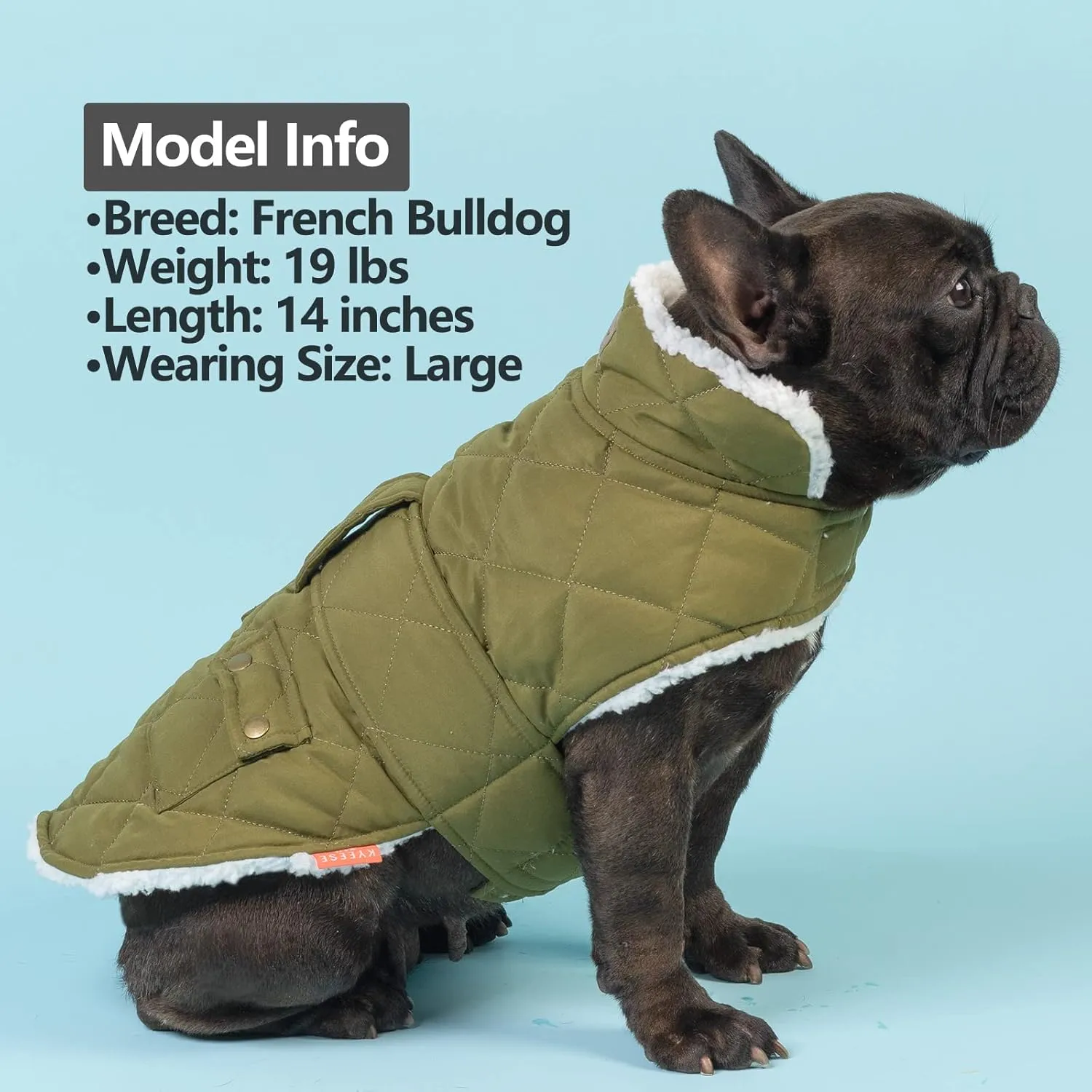 KYEESE Dog Coats Winter Dog Jacket Windproof Padded Sherpa Dogs Vest Cold Weather Coats with Leash Hole for Small Medium Dogs DarkGreen