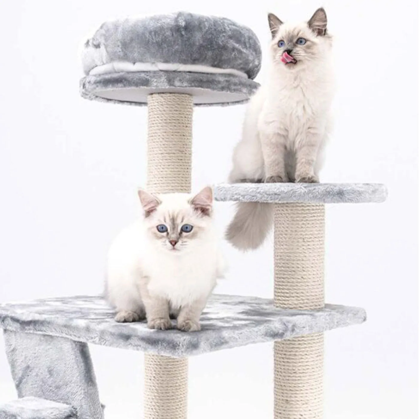 Little Rebels Reno 110cm Cat Tree